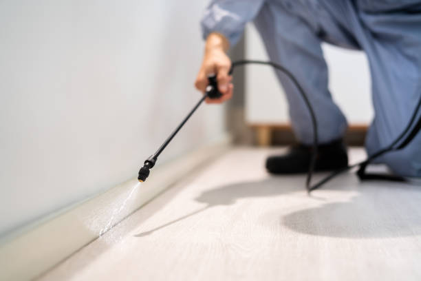 Licensed Pest Control service in Amherst County County, VA - Nex Pest Control