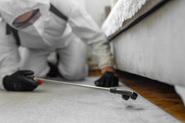 Professional Pest Control technician working in Amherst County County, VA